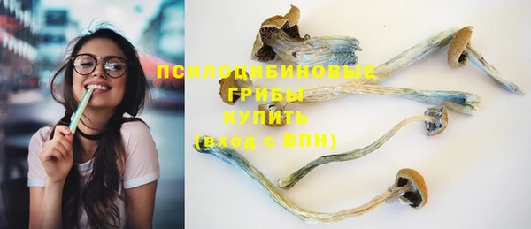 a pvp Алексин